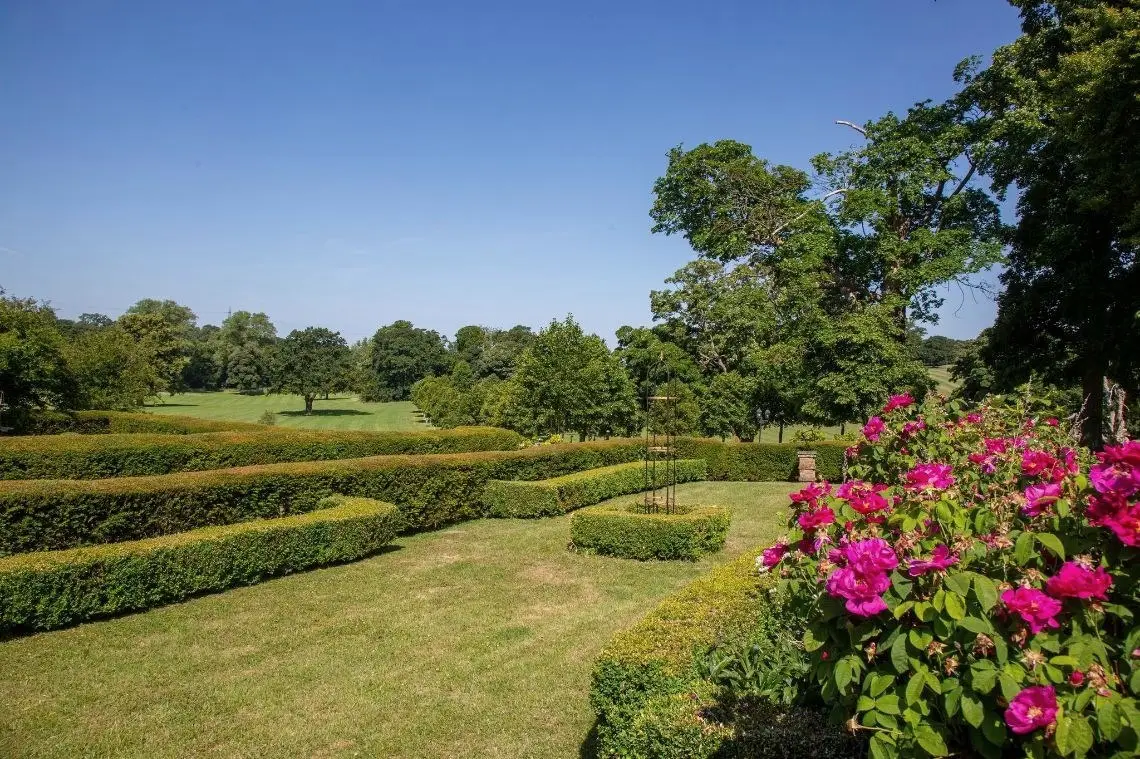 A hedged garden with roses in flower and the park beyond