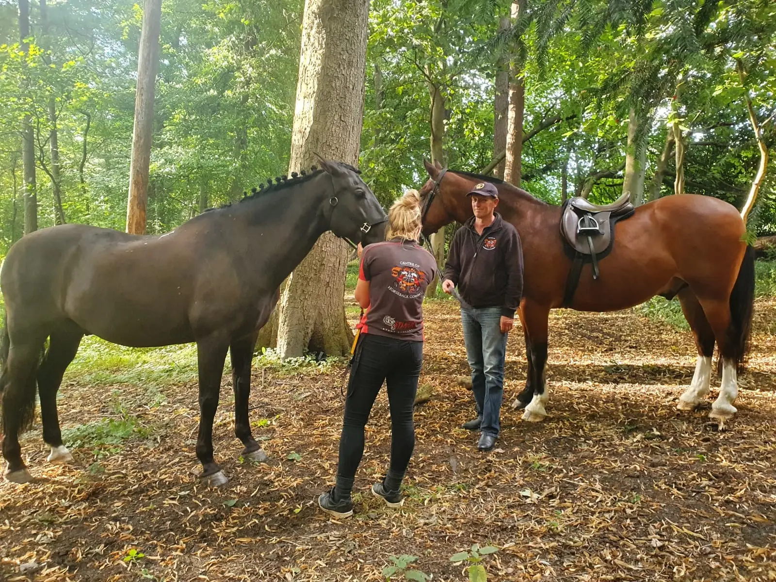 Two handlers with their horses among the trees
