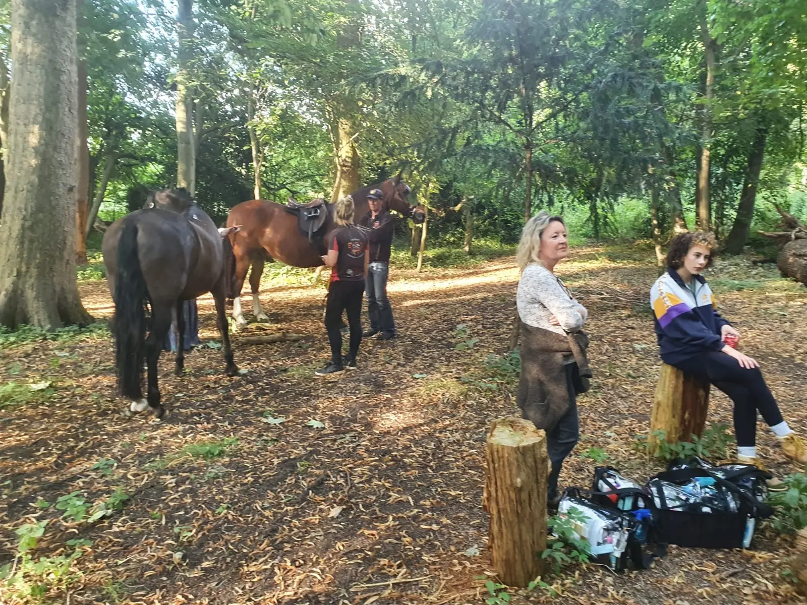 Horses and crew waiting between takes in the woodland